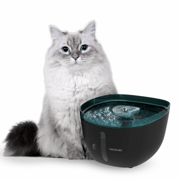 Secador de pelo plegable Cecotec IoniCare Power