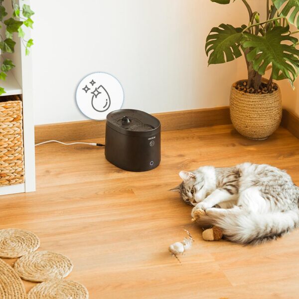 Imagen 5 Fuente automática para mascotas Cecotec Pumba 2500 Refresh Smart de 2,5L con control WiFi, sistema de filtrado y alertas inteligentes de mantenimiento.