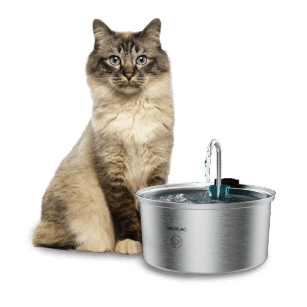 Secador de pelo plegable Cecotec IoniCare Power