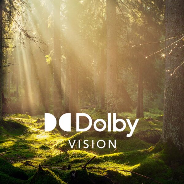 Imagen 6 Smart TV Cecotec V1 VQU11070 de 70 pulgadas con tecnología QLED 4K UHD, Android TV 11, subwoofer de 12W y HDR10 para una experiencia de imagen y sonido profesional.