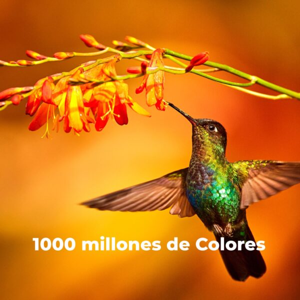 Imagen 6 Televisor Cecotec ALU30075 de 75" con resolución 4K UHD, Android TV 11, Dolby Vision y Atmos. Pantalla de gran formato con Google Assistant y Chromecast integrado.